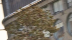 El Audi A4 aparece en esta poco honorable lista