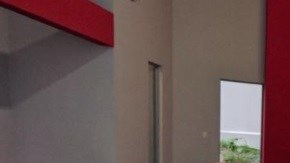 Los bomberos llamaron "Maduro" al asno.