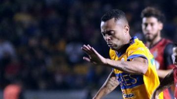 Los Tigres del Tuca consiguen su primer campeonato internacional.