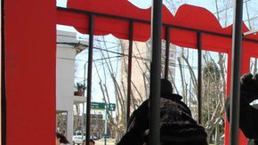 Los asistentes creyeron que eran animales maltratados.