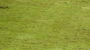 Carlos Jara Saguier y 'Tesapara' 'dirigiendo' juntos.