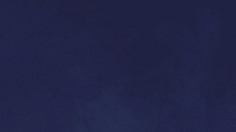 Lo mejor de la televisión fue celebrado con una noche de lujo.