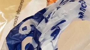 Un gato encuentra una bolsa de drogas.