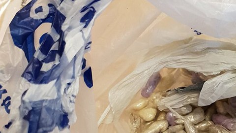 Un gato encuentra una bolsa de drogas.