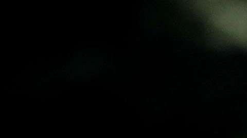 Donald Trump y Melania Trump.