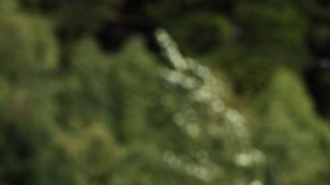 Leclerc ocupará el puesto del último campeónn de Ferrari