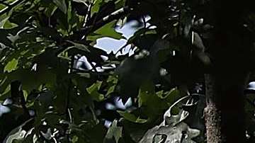 La Primera Dama en su evento del 27 de agosto.