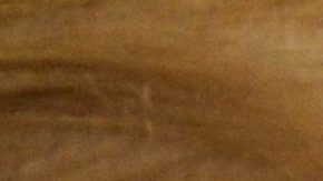 Trump criticó las investigaciones del 
 DOJ contra dos congresistas republicanos