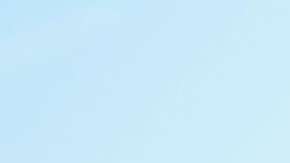 En la Casa Blanca, el uso de teléfonos está más restringido.