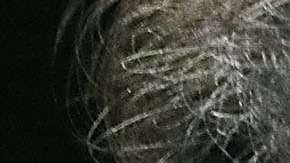 El 20 de septiembre, el Comité Judicial del Senado decidirá sobre Kavanaugh.