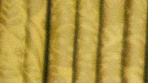 El presidente Trump viajará a Carolina del Norte.