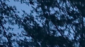 El río Trent se desborda en River Bend, Carolina del Norte.