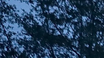 El río Trent se desborda en River Bend, Carolina del Norte.