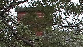 Árboles derribados por el huracán Florence en Wilmington, Carolina del Norte.