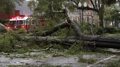 Árboles derribados por el huracán Florence en Wilmington, Carolina del Norte.