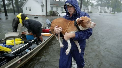 Florence ha dejado sin electricidad a más de 800,000 hogares