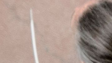 Al menos un par de decenas de activistas fueron detenidos en el Senado.