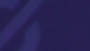 La comentarista de Fox, Tomi Lahren arremetió contra Michelle por alabar a su esposo