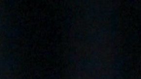 La encuestas han mostrado victorioso a Biden sobre Trump en elecciones 2020