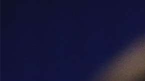 El presidente Trump es fan de Fox News.