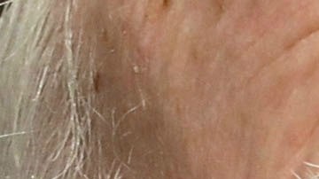 McCain se aseguró que Trump no asistiera a su funeral