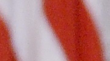 Portales de noticias falsas vuelven a arreciar contra las hijas de Obama