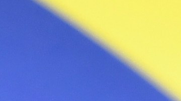 En mayo de 2018 Kim abogó ante Trump para que liberara a Alice Johnson