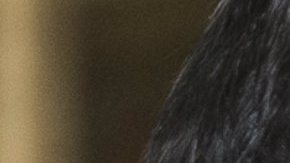 Peña Nieto ensalza su legado en un último informe plagado de omisiones