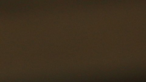 Nuevo reporte indica que los inmigrantes enriquecen la economía de EEUU.