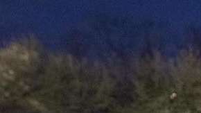 ICE realiza redadas casi en cualquier parte.