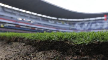 Aspecto del pasto de la cancha del estadio Azteca. (Foto: Imago7/Alejandra Suárez)