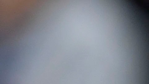 Ricardo Ferretti solo dirigirá un par de compromisos como técnico interino del Tri