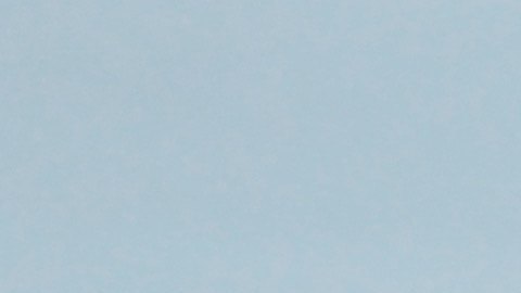 Muere al ser pisada por un elefante