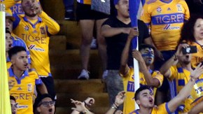 La barra "Libres y lokos" de Tigres estará controlada y habrá represalias en caso de ilícitos