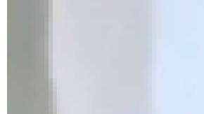 Nicky Jam y la mujer fueron escoltados de manera separada al restaurante.