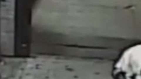 Jorge Ayala fue capturado por cámaras de vigilancia.