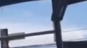 Las imágenes fueron expuestas a eso de las 9:30 a.m. de este sábado.