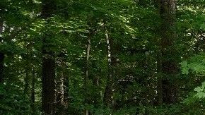 Todo tipo de autos se pueden encontrar.