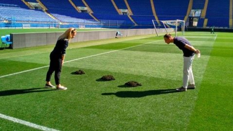 Las huellas del topo que hizo estragos en la cancha del Shaktar.