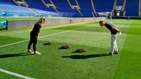 Las huellas del topo que hizo estragos en la cancha del Shaktar.