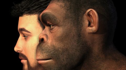 Rostro ser humano futuro
