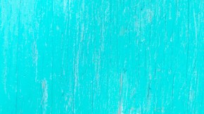 shutterstock_643515643