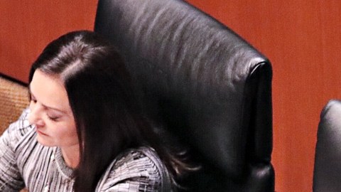 Termos personalizados para senadores del PRI.