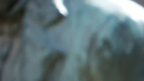 Por años los inquilinos han protestado los altos incrementos en diferentes comunidades de California. (Aurelia Ventura/La Opinión)