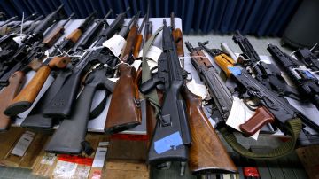 Algunas de las armas confiscadas por la operacion, Aurelia Ventura/La Opinion