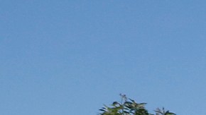 Los jugadores de lotería buscan locales donde se vendieron boletos ganadores.