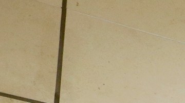 Desde 2018, Sears se declaró en quiebra situación que ha hecho que miles de almacenes cerraran en todo el país.