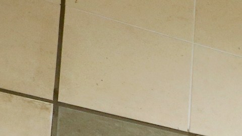 Desde 2018, Sears se declaró en quiebra situación que ha hecho que miles de almacenes cerraran en todo el país.