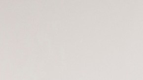 10/23/18 / LOS ANGELES/ Undersheriff Don Barnes joined Mario Cuevas, Head Consul of Mexico in Orange County, during a press conference in Orange County, to unveil a new release public service announcement to remind residents that local law enforcement does not enforce immigration laws while on patrol. (Aurelia Ventura/La Opinion)