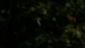 Fabiola Argueta de 18 años muestra el sticker que le dieron tras emitir su voto. / foto: Aurelia Ventura.